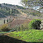 IMG_6649_resize.JPG