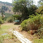 P7120193.JPG