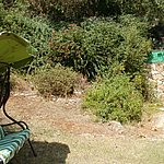 P7120190.JPG